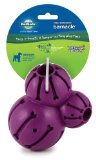 PetSafe Busy Buddy Barnacle Dog Toy, Medium