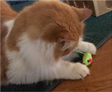 Zanies Rattling Hypno Mice Cat Toys - Set of 4 (fur free)