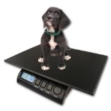 ZIEIS | 30 Lb. Capacity | Digital Animal Scale | Z30P-DURA1216 | 12" X 16" BigTop Dura Platform | 0.1 Ounce Accuracy