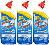 Clorox Toilet Bowl Cleaner, Rain Clean, 24 oz-3 pk