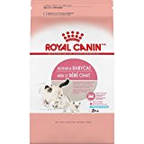 Royal Canin 1Count Feline Health Nutrition mother & Baby Dry Cat Food, 7 lb