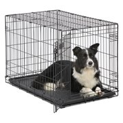 Single Door iCrate Metal Dog Crate, 36-Inch, Black
