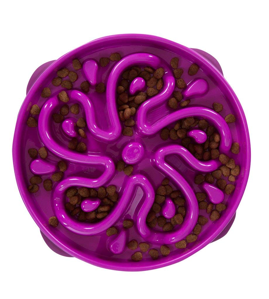 Dog Games Outward Hound Fun Feeder Flower Purple