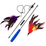 Pet Fit For Life Multi Feather Teaser and Exerciser For Cat and Kitten - Cat Toy Interactive Cat Wand