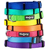 Blueberry Pet Classic Solid Color Nylon Dog Collar in French Pink, Neck 12"-16", Small, Collars for Dogs