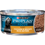 (24 Pack) Purina Pro Plan Pate Wet Puppy Food, FOCUS Classic Chicken & Brown Rice Entree, 5.5 oz. Cans