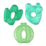Itzy Ritzy Water-Filled Coordinating Cactus Water Teethers, Set of 3 Green Cacti
