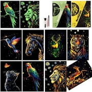 Noctilucent Scratch Rainbow Painting Art Paper Scratch Painting Art Set for Kids & Adults Creative Scratch Decorative Painting with 4 Tools